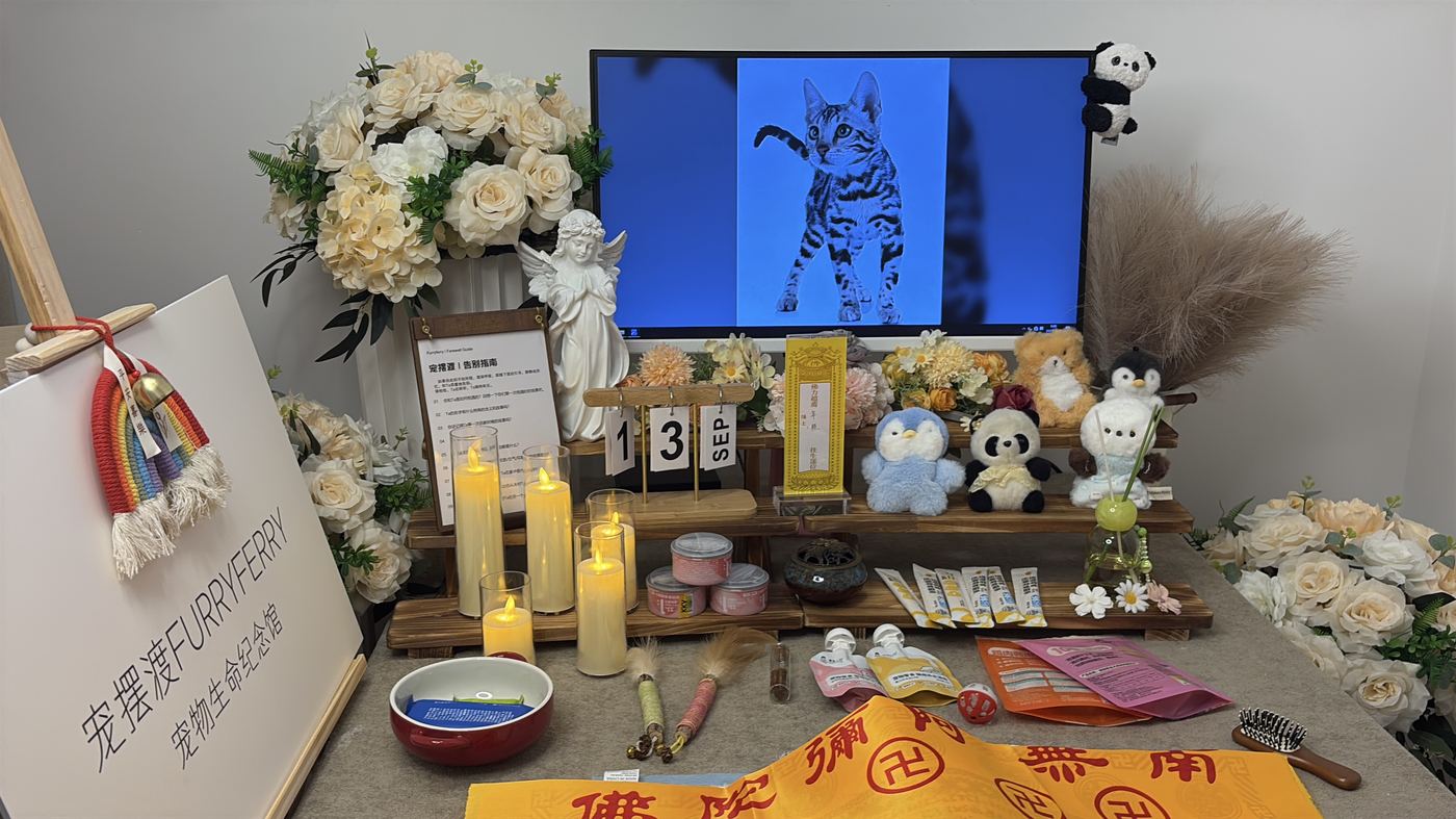如何面对宠物离世的悲伤？写给珠海养宠人的心理支持
