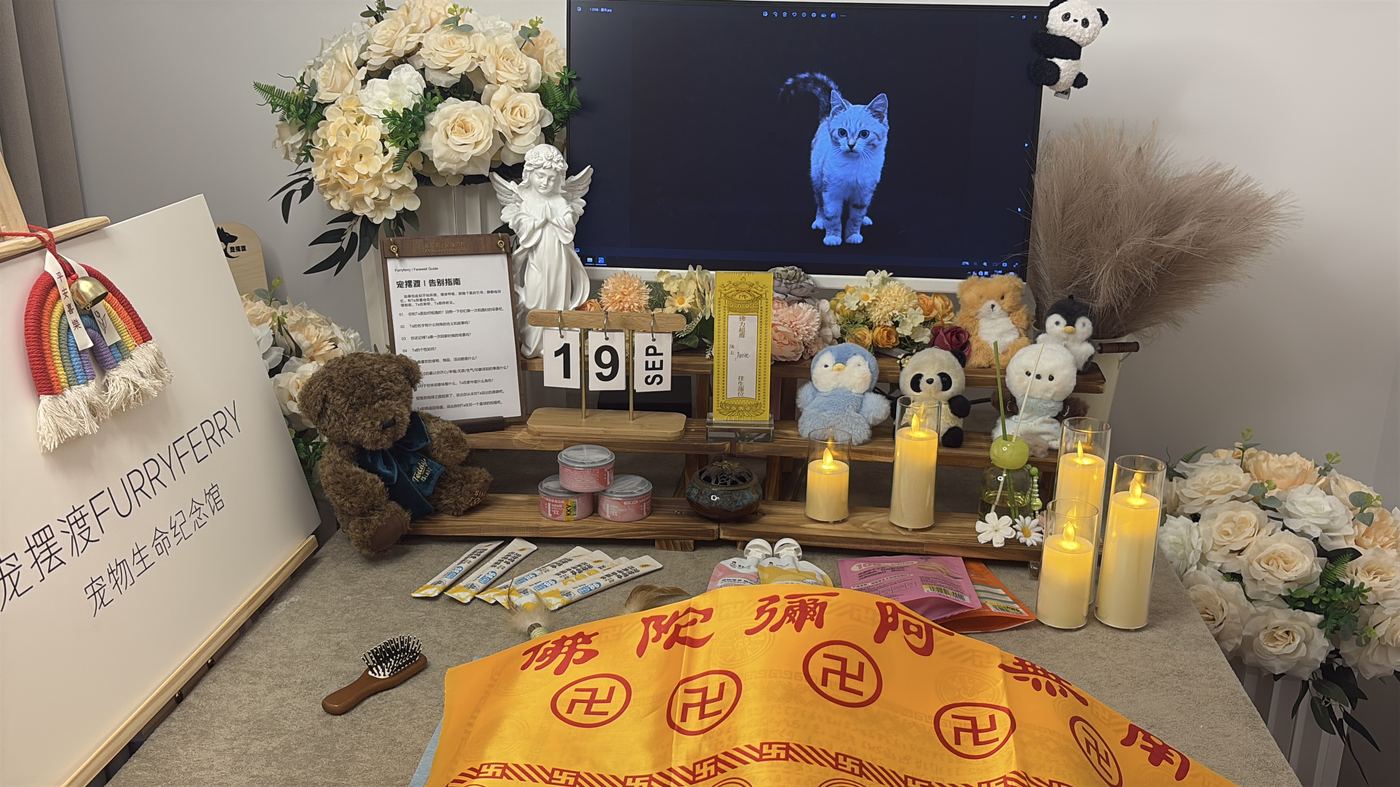 告别厅长什么样