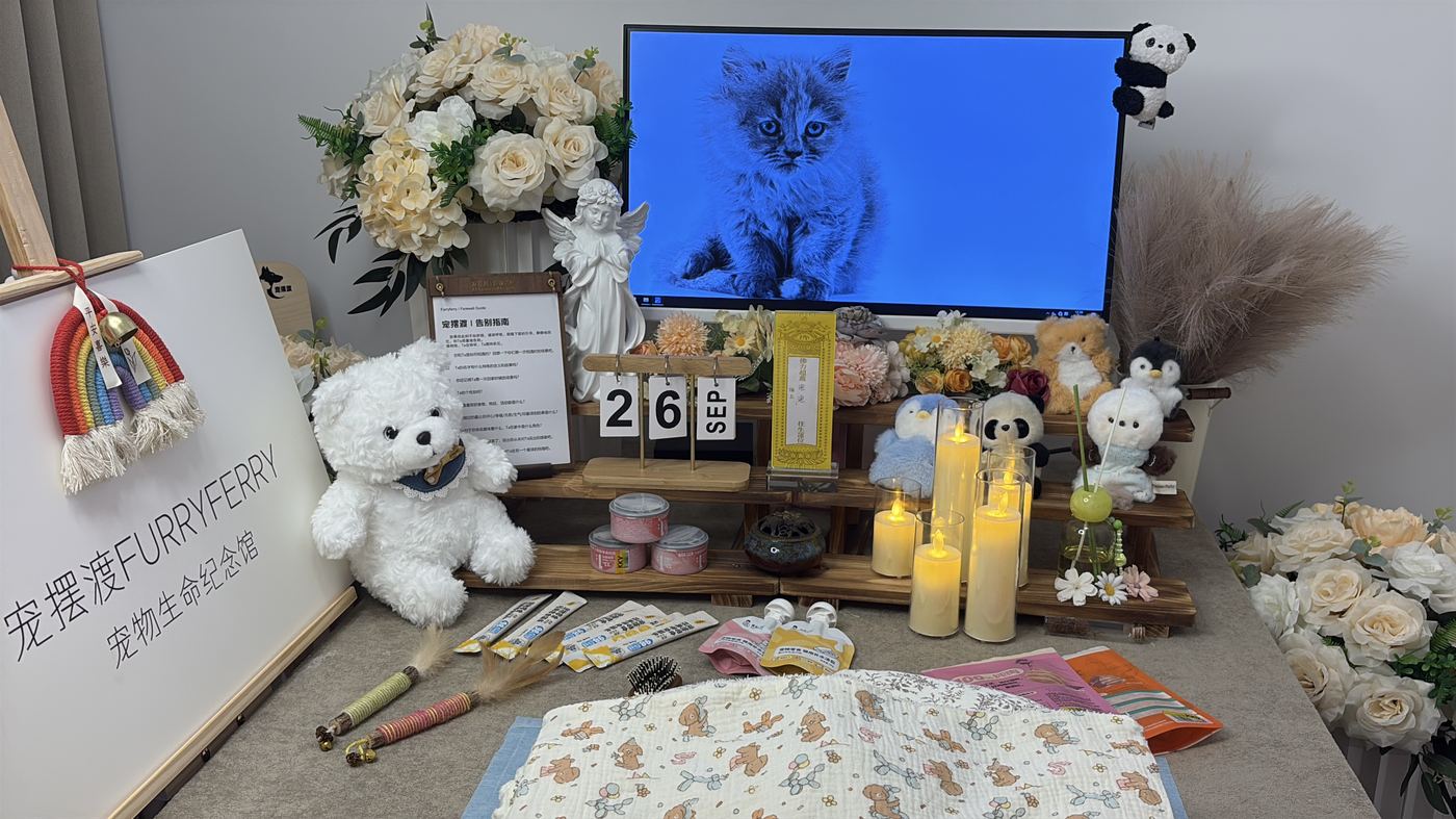 节日期间宠物殡葬服务安排：珠海春节与清明假期指南