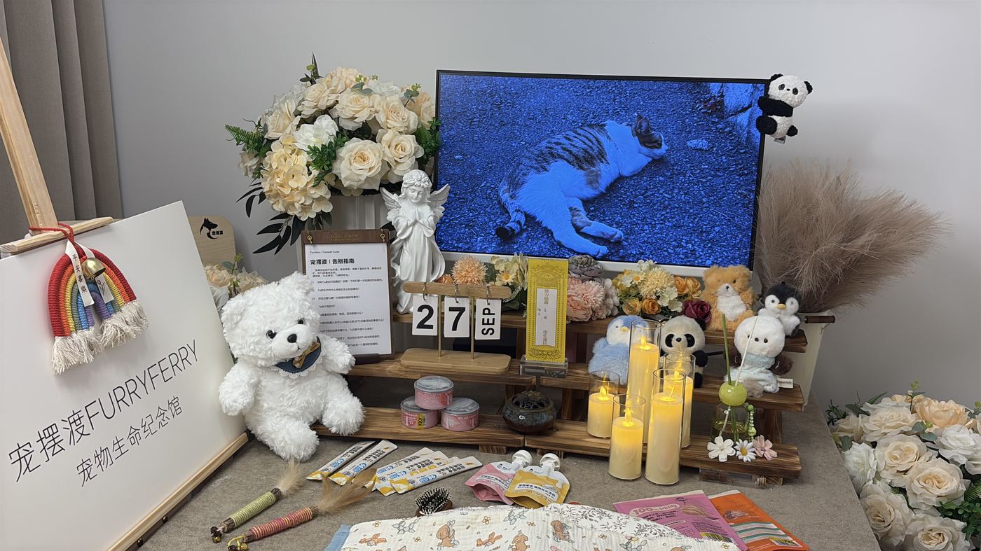 珠海宠物上门接回服务：24小时响应流程说明